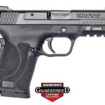 SMITH & WESSON M&P9 SHIELD EZ M2.0 9MM MICRO-COMPACT 3.68" NO THUMB SAFETY 8 ROUNDS 2 MAGAZINES