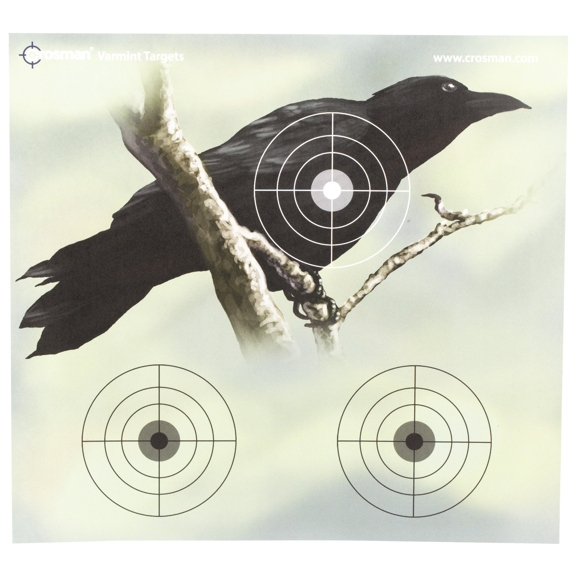 CROSMAN VARMINT TARGETS 9.75X9 20 PK