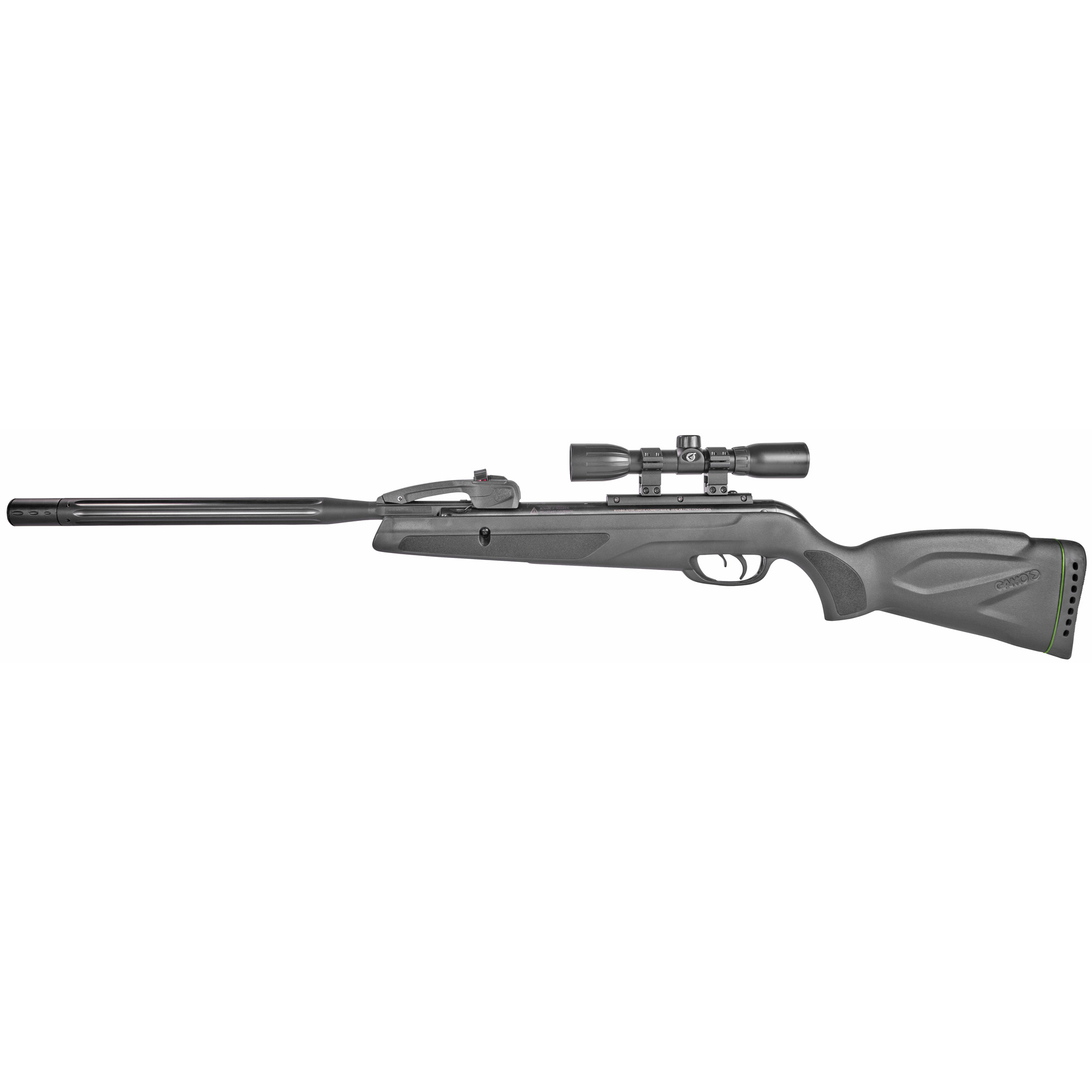 GAMO SWARM WHISPER .22 W SCP