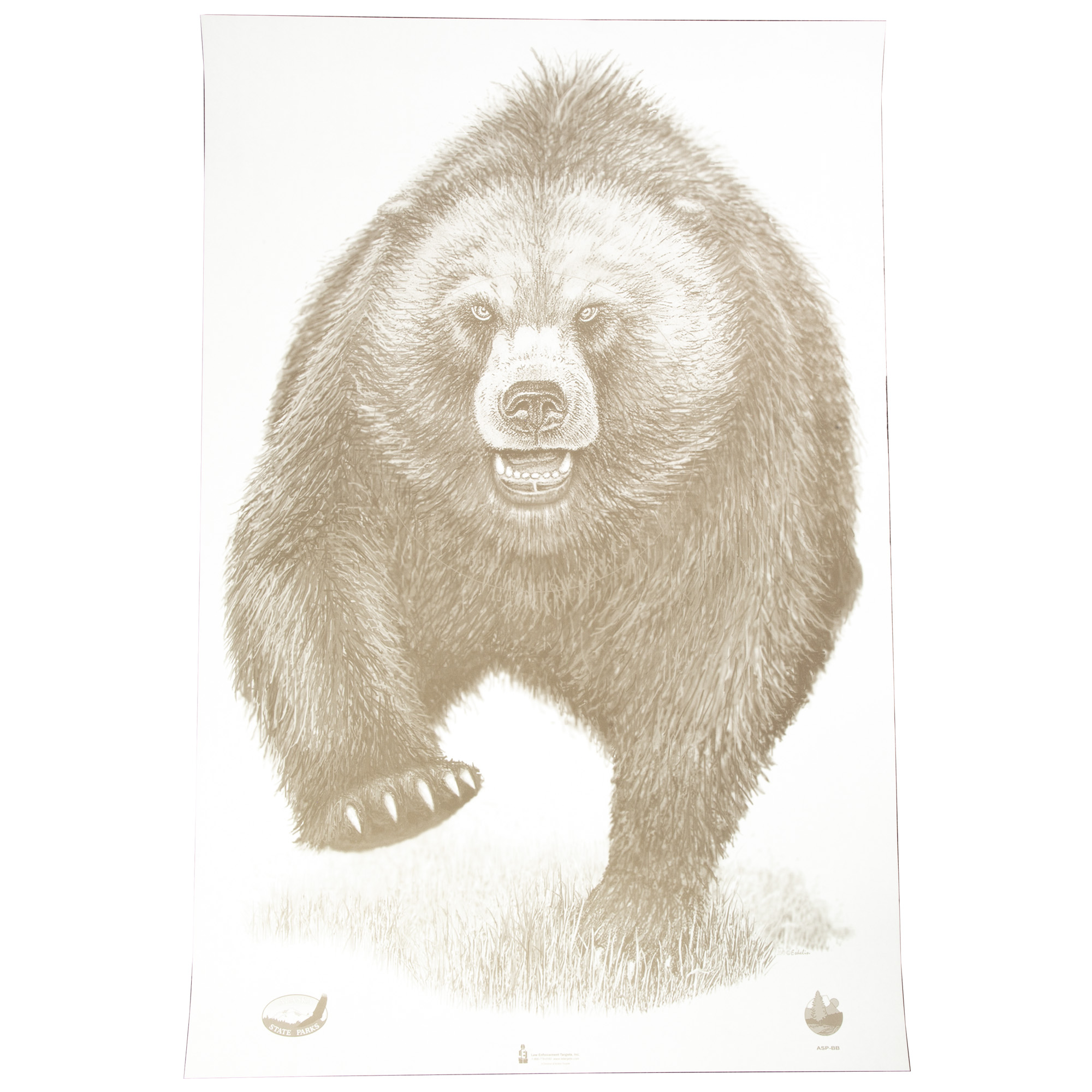 ACTION TARGET AK STATE PARK BEAR 100PK